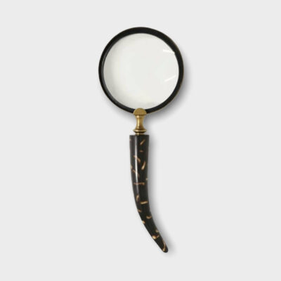 Magnifying glass with safari handle