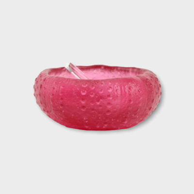 Urchin Bowl Gold Ruby