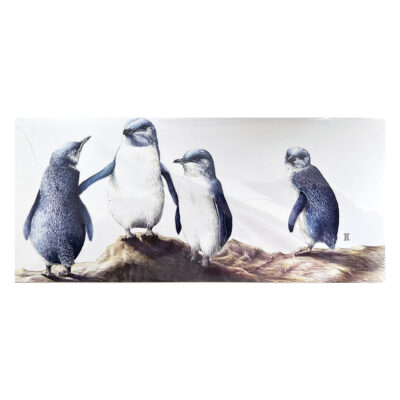 WGF Little Blue Penguin